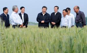 新華社播發(fā)萬字通訊：以習近平為總書記的黨中央深改元年交卷