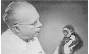 访谈︱施晔：中国士大夫为什么崇拜猿，听听高罗佩怎么说