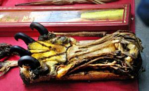 外交部：中國(guó)全面禁獵并禁止虎骨貿(mào)易和虎骨入藥