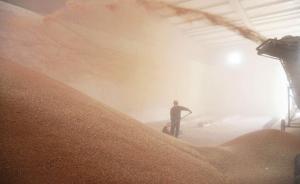 中國(guó)糧食光儲(chǔ)存加工環(huán)節(jié)一年就浪費(fèi)超700億斤