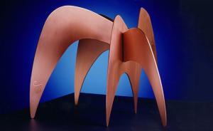 一段深入伊斯兰国内部的视频获2015美国国家杂志奖