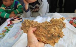 新疆青河县文物局否认“狗头金”是文物：只能说它是一种矿产