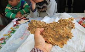 新疆清河官方加強撿拾“狗頭金”牧民安保，否認五百萬收購說