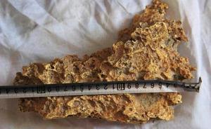 新疆青河官員否認讓牧民上交狗頭金，稱此前撿拾者均未上交