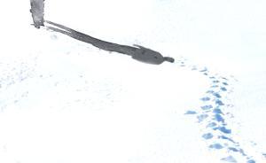 回家吧| 都市游子：当我们谈论故乡时，已经走得很远