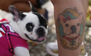 早安，全世界都在看↑自由的鲜花对抗着愤怒的子弹