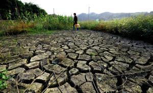 浙江对官员实行自然资源资产离任审计，造成损害者终身追责