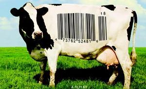 這些書和電影，改變了人類對環保的認識