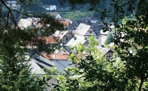 市政廳|城市案例：德國的“通勤村”，一種城鄉(xiāng)互動的可能