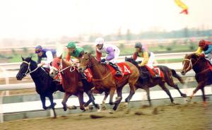 人大代表刘英姿：选择湖北武汉试点发行赛马彩票