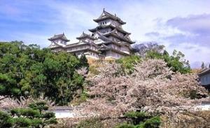 武大赏樱正当时：珞珈山的樱花从哪来？