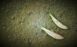 “水十條”就要出臺(tái)了，今年水污染防治預(yù)算猛增86%