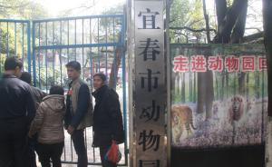 江西宜春“老虎傷人致死動物園”被停業(yè)整頓