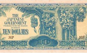 新加坡曾叫“昭南岛”：东洋名背后的日据岁月