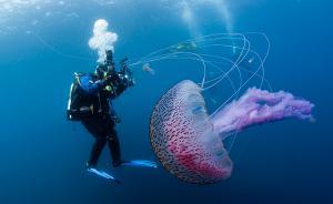 早安，全世界都在看↑勇士都有一顆征服的心