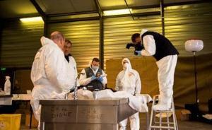 德翼空难|纽约时报：从一场空难看德国的民族特性