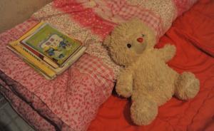 《自然神经科学》杂志：哥大研究发现贫困影响大脑发育