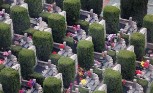 环京环沪“异地墓”热销，开发方“囤墓”坐等地价高涨享暴利