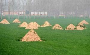 強(qiáng)制將一市民家族墳?zāi)蛊綒?7座，沈陽(yáng)區(qū)政府被判侵權(quán)賠8萬(wàn)