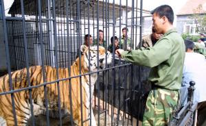 國家林業(yè)局：全國整頓野生動物馴養(yǎng)繁殖，禁觀眾近距離接觸