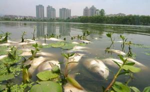 水十条解读｜强化监管：建污染企业黑名单，公布十大最差城市