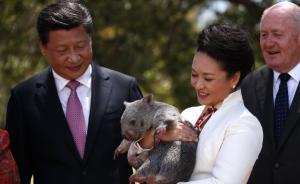 中國(guó)首部“外交藍(lán)皮書”贊彭麗媛:親善形象成中國(guó)外交新名片