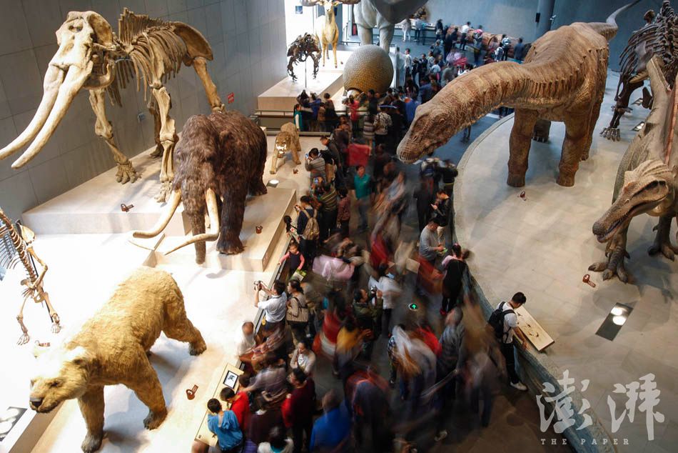 06_dfzb20150419_0002