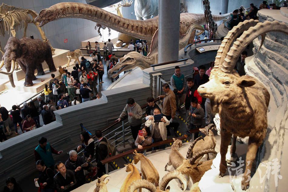 07_dfzb20150419_0009