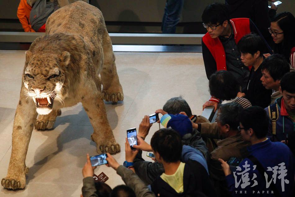 08_dfzb20150419_0010