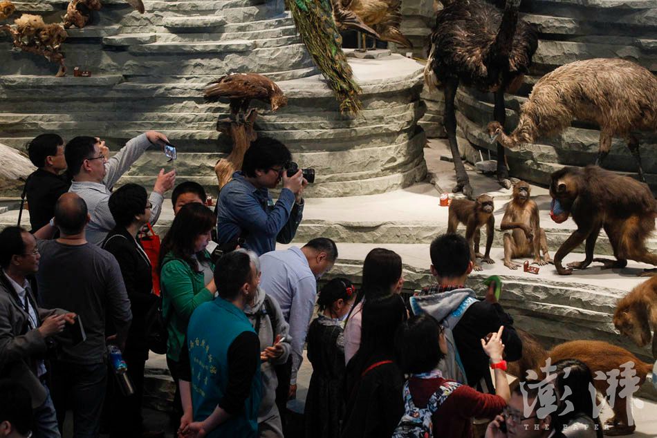 10_dfzb20150419_0023