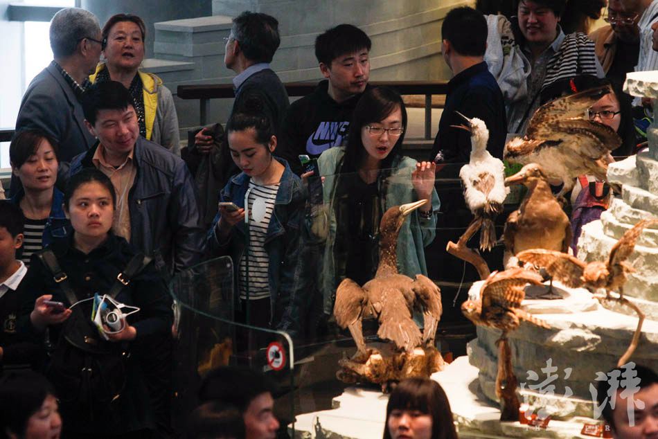 11_dfzb20150419_0024