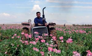 早安，全世界都在看↑實(shí)至名歸，香港電影金像獎(jiǎng)分封帝后