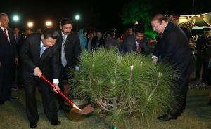 國平：習(xí)近平主席今年首訪，促中國周邊外交提速