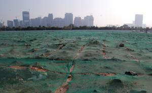 種子法草案：經(jīng)審定的農(nóng)作物品種出現(xiàn)缺陷，停止經(jīng)營、推廣