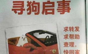 愿用房子换爱犬：杭州一“寻狗启事”被认定为开发商违法广告