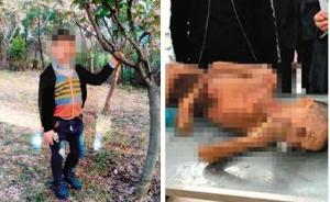 男童走失半年成“干尸”续：民政部关注，信阳成立联合调查组