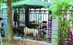 武汉72岁婆婆被自家烈犬发狂咬死，民警5枪毙狗