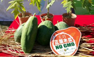 港臺民眾如何反對轉基因？臺灣主婦推立法，香港農(nóng)夫換木瓜