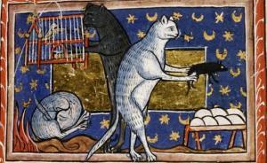 历史上的喵星人︱黑猫、女巫与黑死病：基督教世界的屠猫记