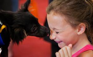 為什么會從動物保護走向“動物保護恐怖主義”？