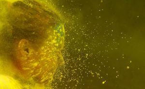 早安，全世界都在看↑彩色跑，所有鲜活的色彩都向我涌来