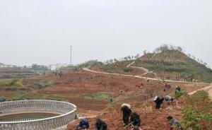 一些地方政府扶贫项目不接地气，农民反映：搞啥亏啥，都怕了