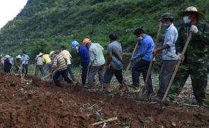 廣西洪水漂浮1.6萬死豬已撈500頭，官方稱不會流上餐桌