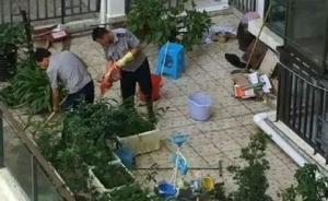 廣西靈山一家三口疑遭滅門頸部有傷口，疑似嫌犯同一單元墜亡