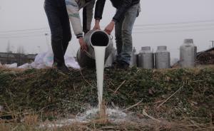 多地“倒鮮奶”已持續(xù)大半年，收購價每公斤1元還不及礦泉水