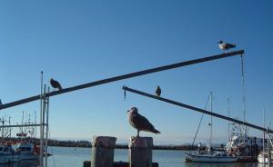 7只杠桿基金被腰斬！史上最悲慘基金36天虧近74%