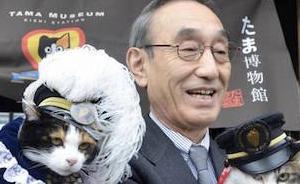 本周《經(jīng)濟(jì)學(xué)人》訃聞版主角是一只叫小玉的三花貓