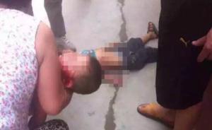 惡狗撕咬致河南南陽5歲2歲兄弟倆1死1傷？警方介入調(diào)查