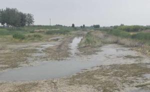 厄爾尼諾致南澇北旱，河北一村莊玉米苗一點(diǎn)就著抗旱井卻廢棄