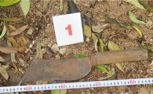 海南回應(yīng)男子被開槍打死：吸毒人員持刀襲警，警告2次無效